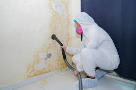 Best Commercial Mold Inspection  in Sparta, TN